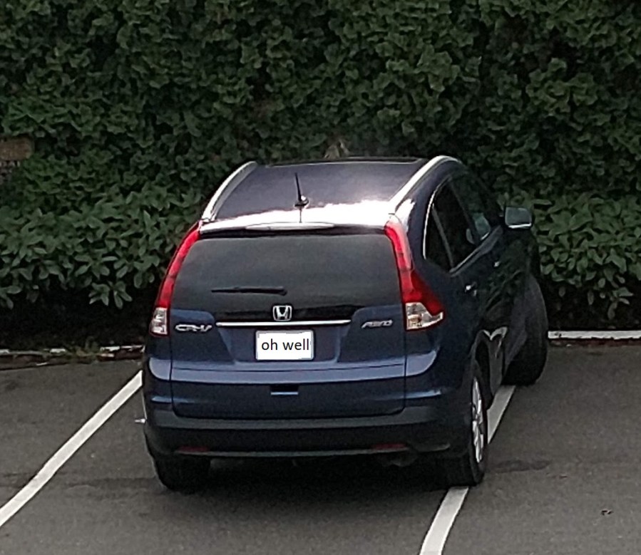 I am Bad at&nbsp;Parking